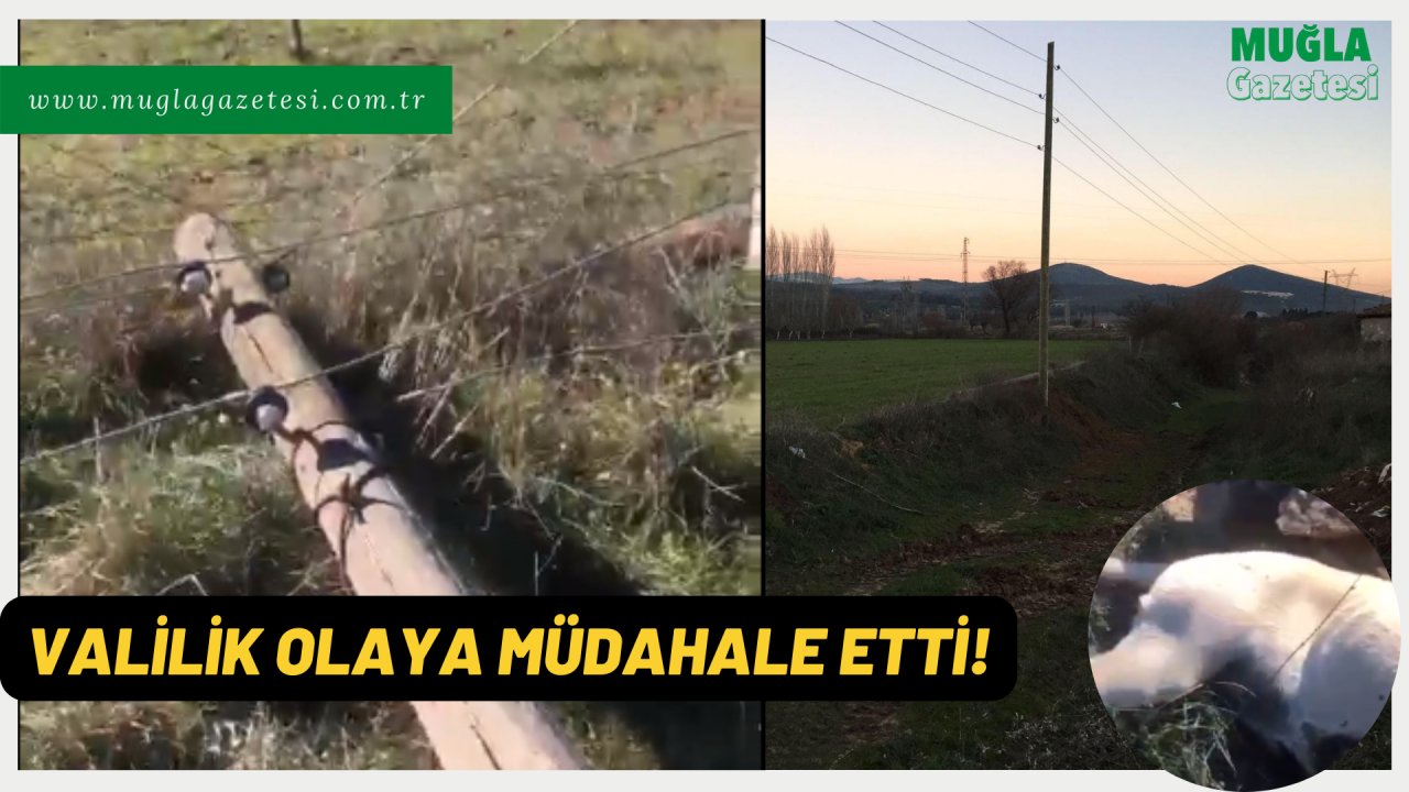 VALİLİK OLAYA MÜDAHALE ETTİ!