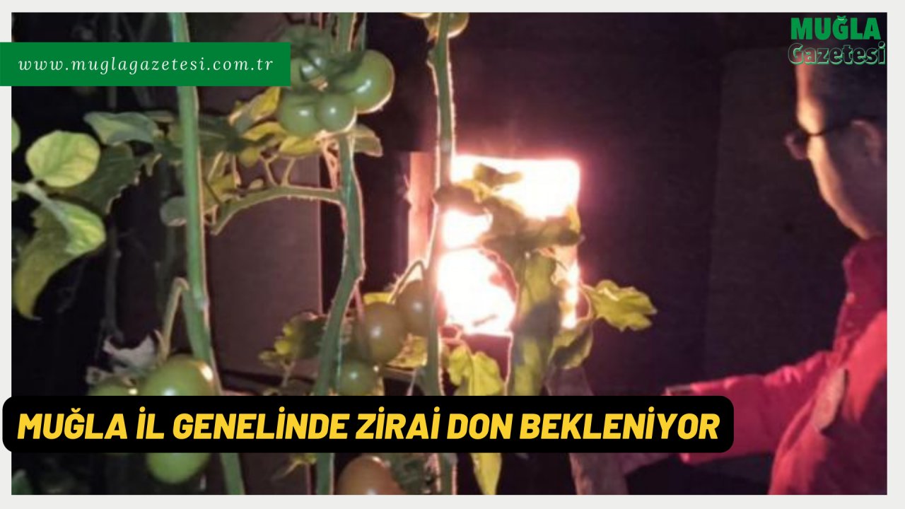 MUĞLA İL GENELİNDE ZİRAİ DON BEKLENİYOR