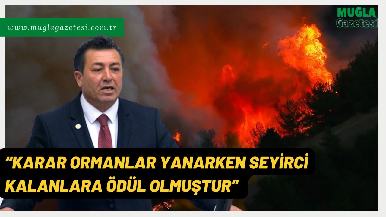 “KARAR ORMANLAR YANARKEN SEYİRCİ KALANLARA ÖDÜL OLMUŞTUR”