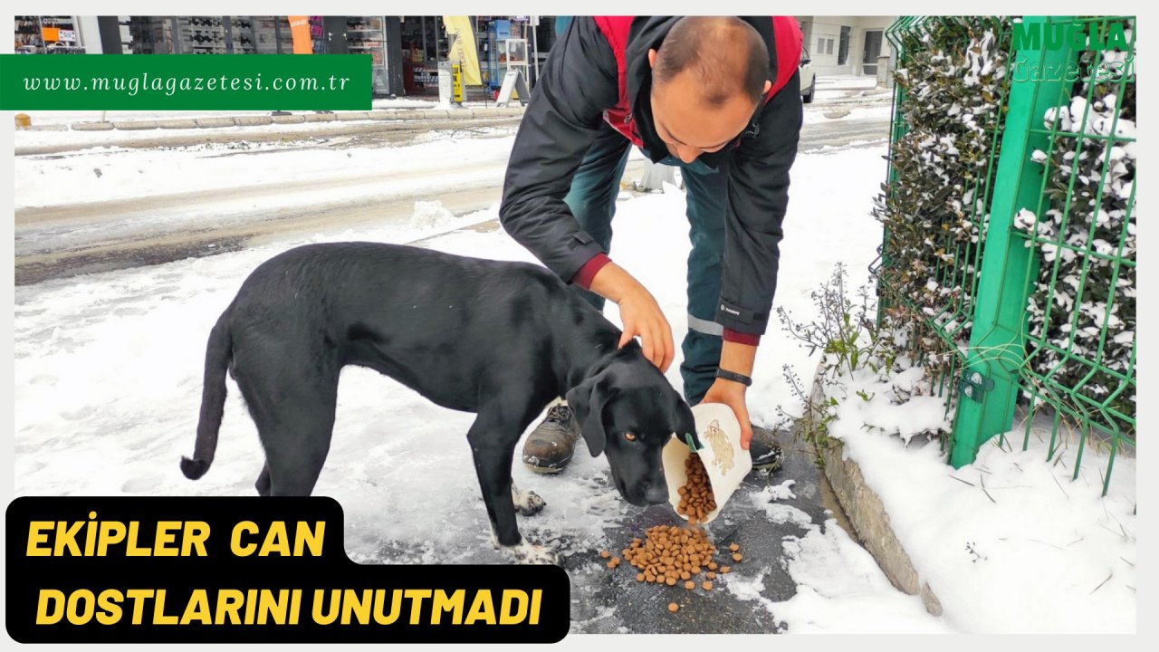 EKİPLER CAN DOSTLARINI UNUTMADI 