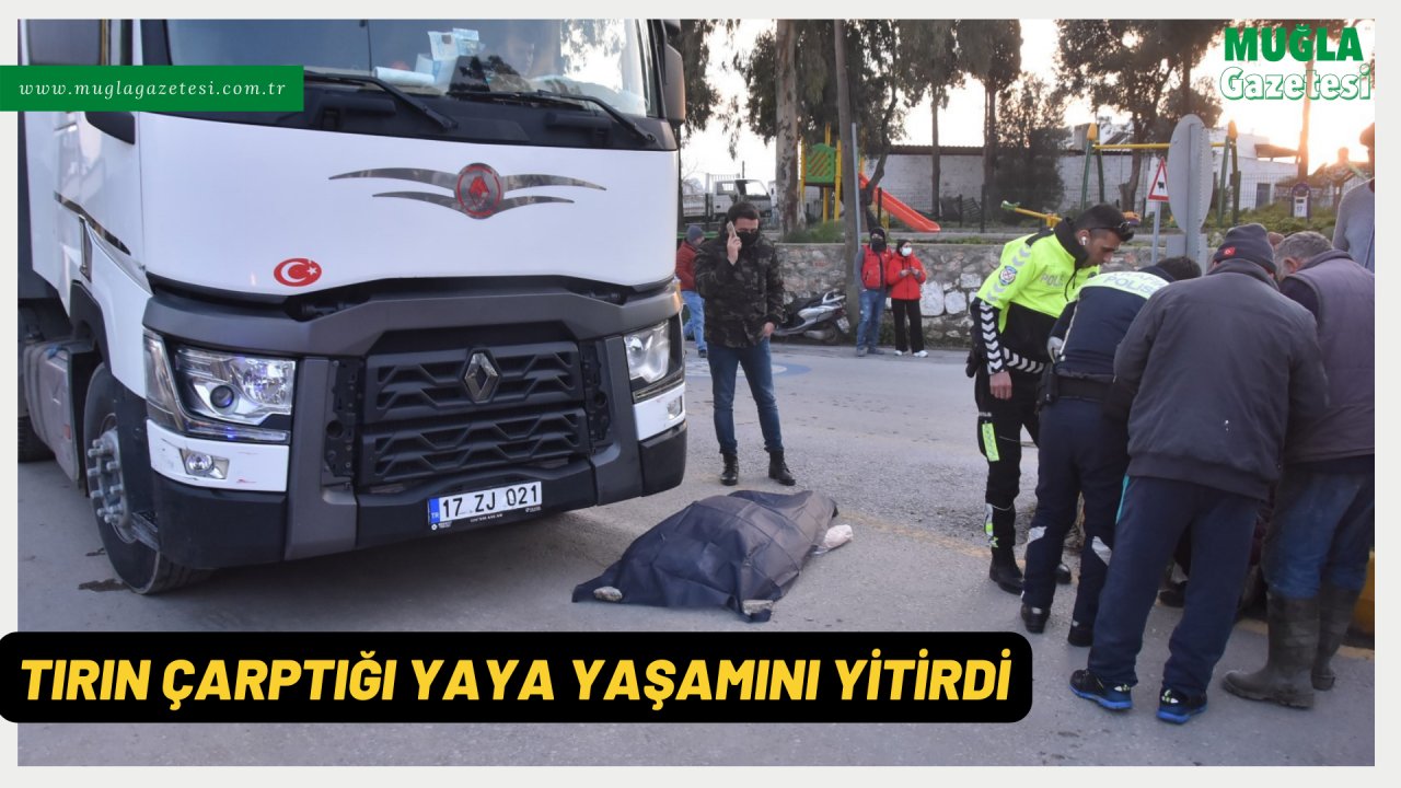 TIRIN ÇARPTIĞI YAYA YAŞAMINI YİTİRDİ