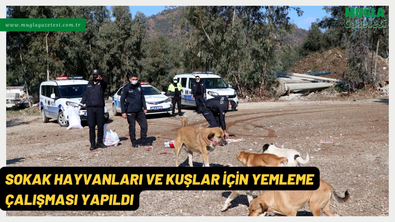 SOKAK HAYVANLARI VE KUŞLAR İÇİN YEMLEME ÇALIŞMASI YAPILDI