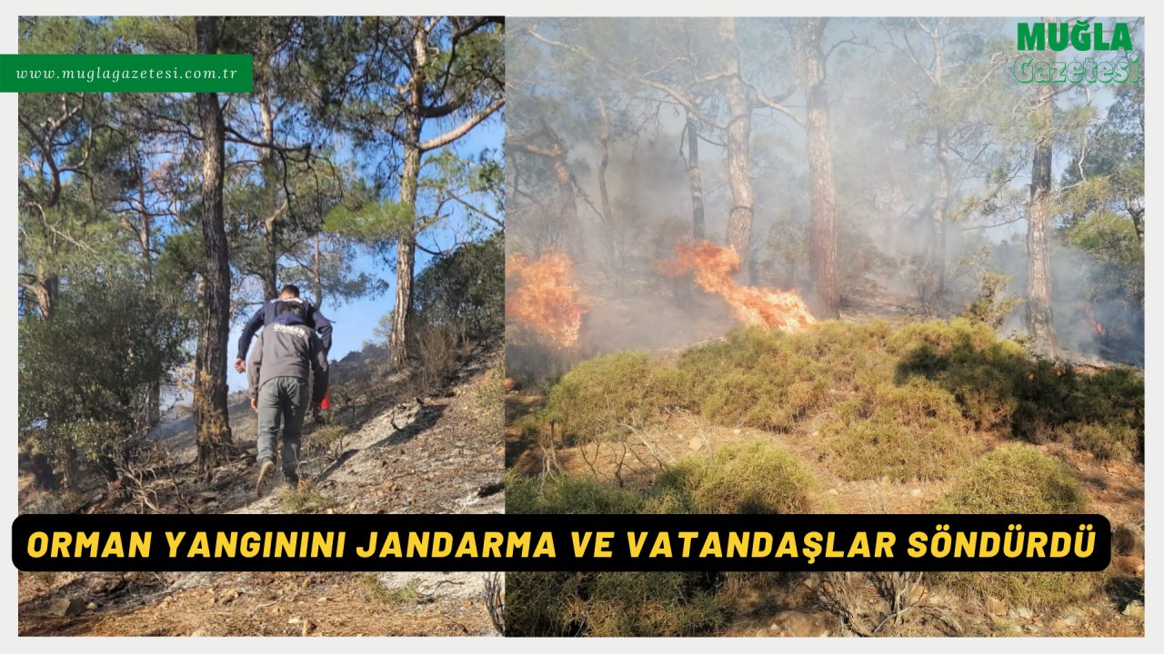 ORMAN YANGININI JANDARMA VE VATANDAŞLAR SÖNDÜRDÜ