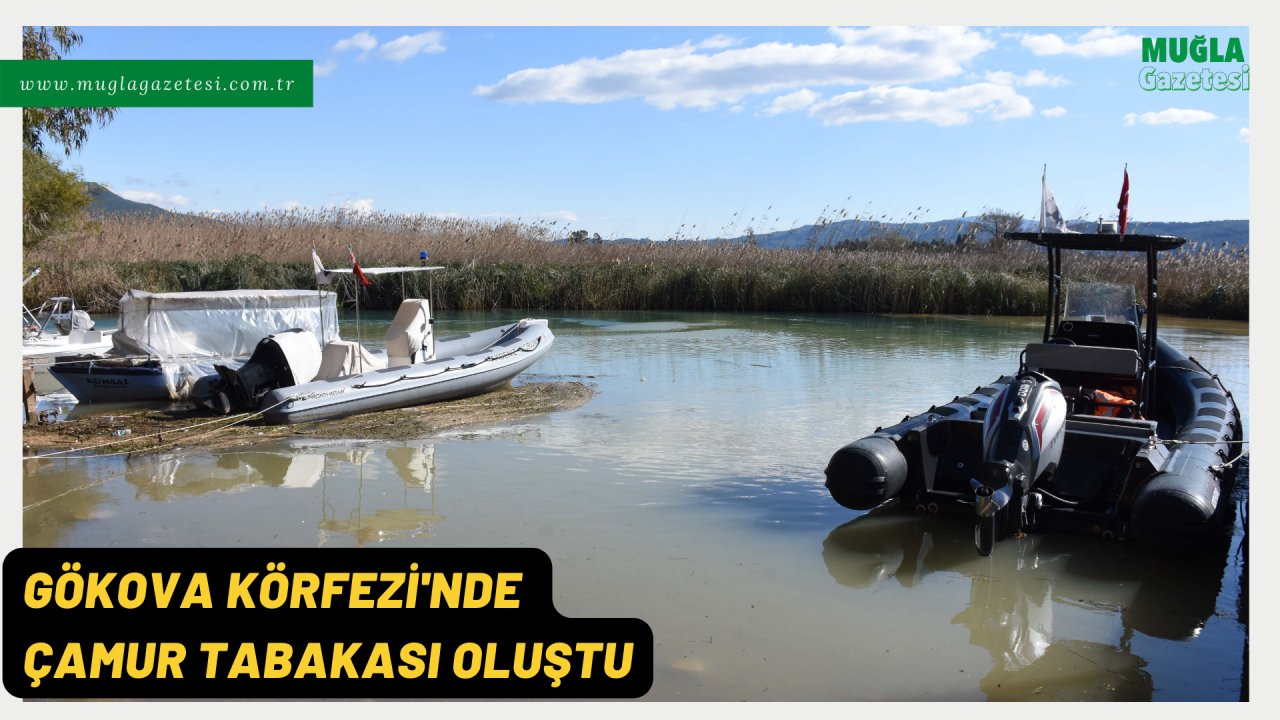 Gökova Körfezi'nde çamur tabakası oluştu