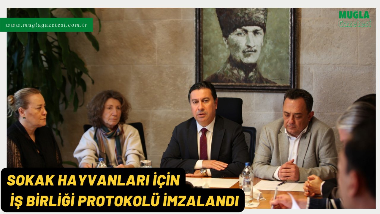 SOKAK HAYVANLARI İÇİN İŞ BİRLİĞİ PROTOKOLÜ İMZALANDI