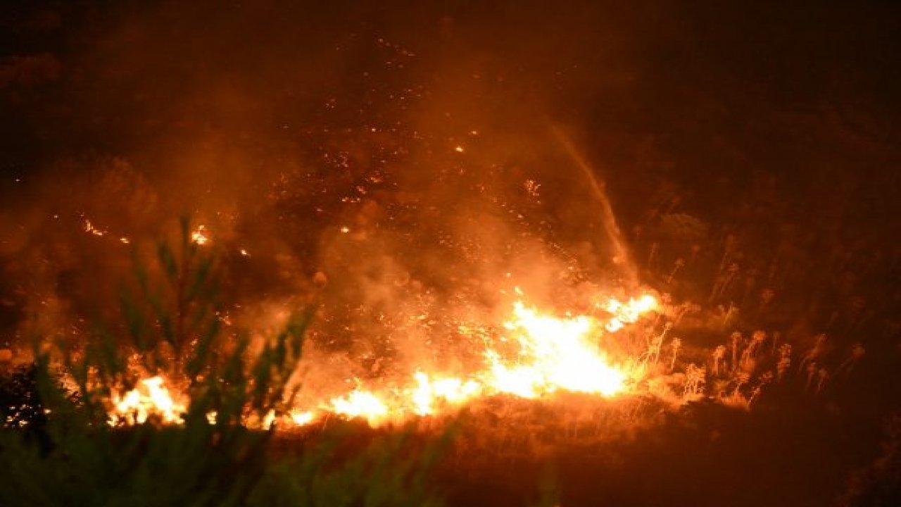 Bodrum'da makilik yangını