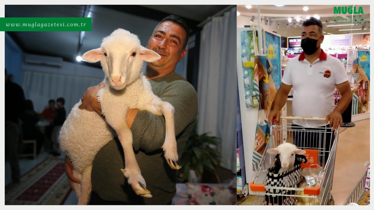 DAĞDA SAKAT DOĞAN KUZUYA 