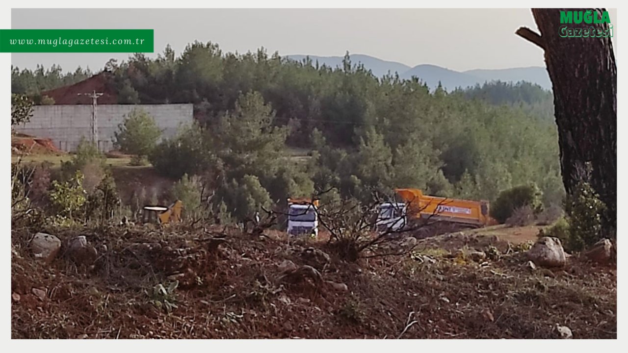 ÇİMENTO FABRİKASI İÇİN İŞ MAKİNALARI ÇALIŞMAYA BAŞLADI