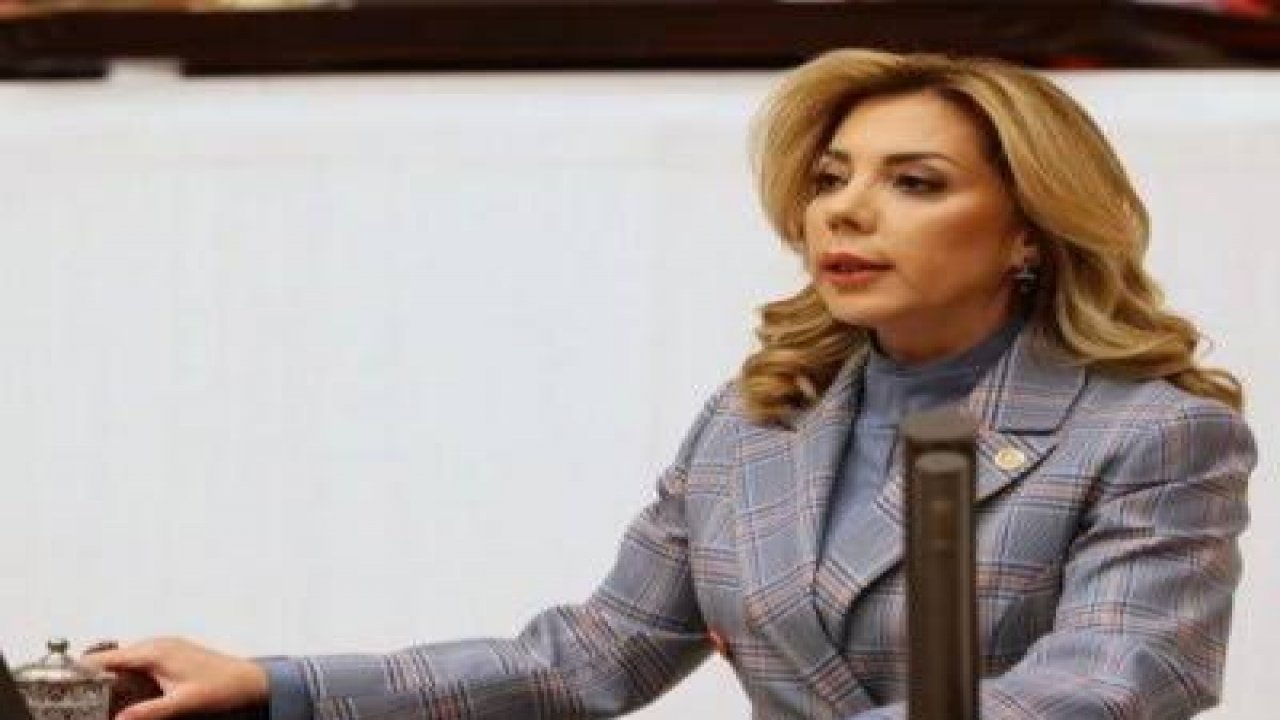 MİLLETVEKİLİ GÖKCAN, 