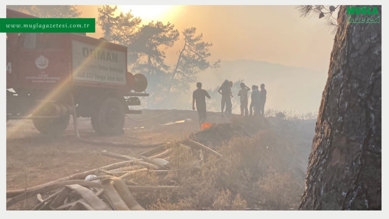 AFET GÖNÜLLÜLERİ DENEYİMLERİNİ RAPOR HALİNE GETİRDİ