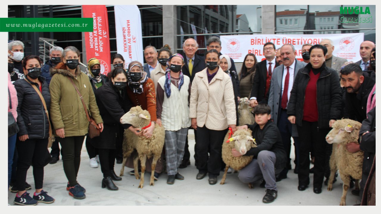 YANGIN MAĞDURLARINA HAYVAN DESTEĞİ