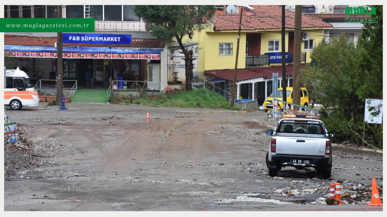 SAĞANAKTA BAZI İŞ YERLERİNİ SU BASTI, AĞAÇLAR DEVRİLDİ