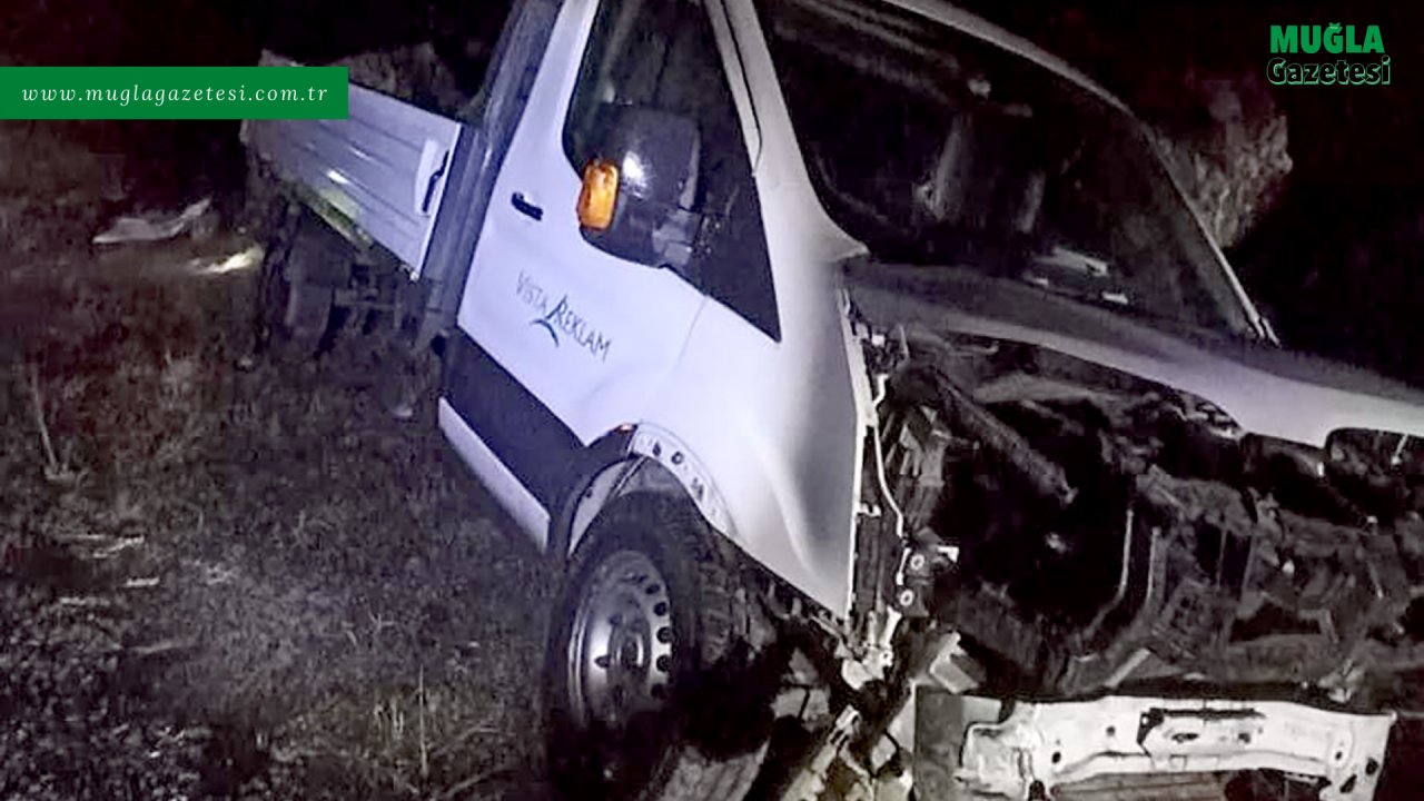 Kaza yapan kamyonetteki 3 kişi yaralandı