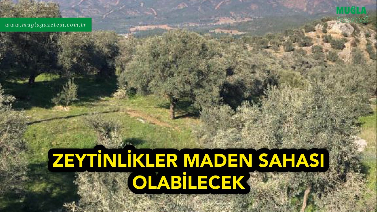 ZEYTİNLİKLER MADEN SAHASI OLABİLECEK