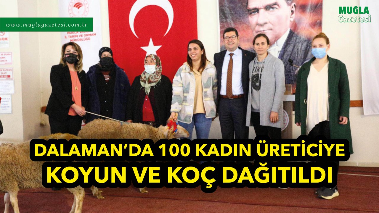 DALAMAN’DA 100 KADIN ÜRETİCİYE KOYUN VE KOÇ DAĞITILDI