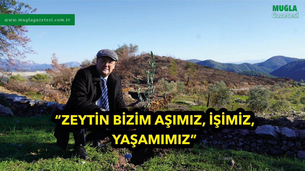 “ZEYTİN BİZİM AŞIMIZ, İŞİMİZ, YAŞAMIMIZ”