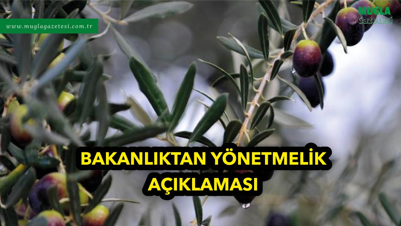 BAKANLIKTAN YÖNETMELİK AÇIKLAMASI