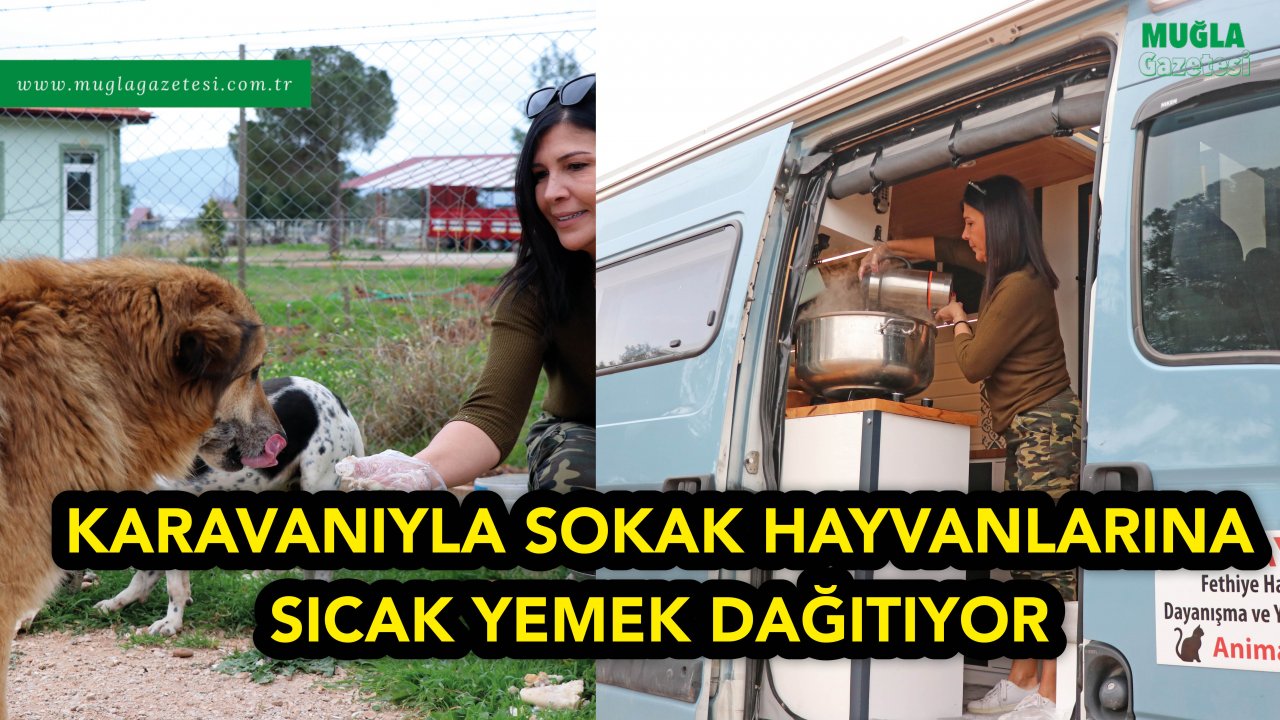 KARAVANIYLA SOKAK HAYVANLARINA SICAK YEMEK DAĞITIYOR