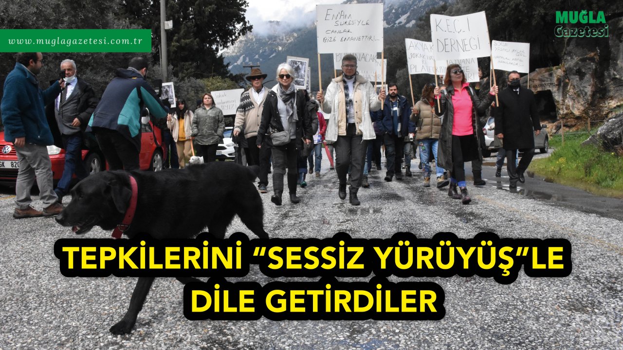 TEPKİLERİNİ 