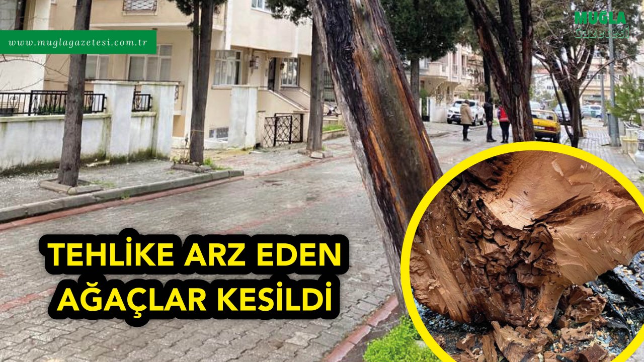 TEHLİKE ARZ EDEN AĞAÇLAR KESİLDİ