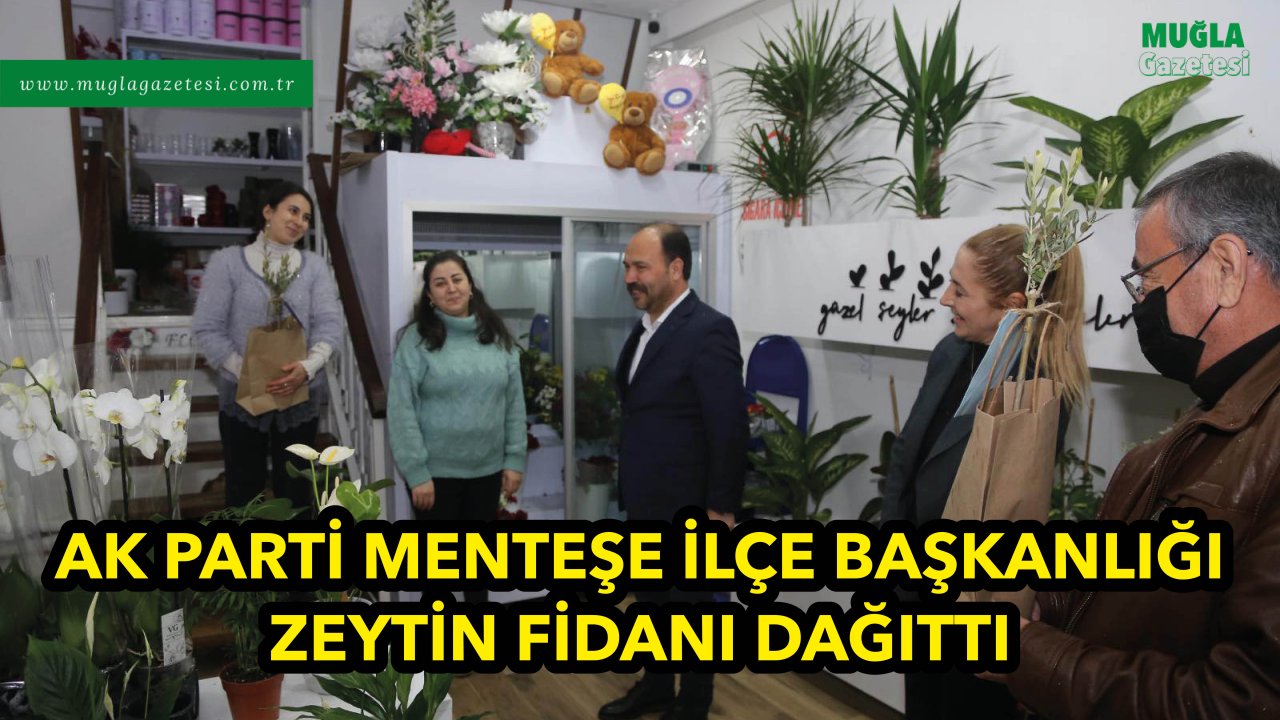 AK PARTİ MENTEŞE İLÇE BAŞKANLIĞI ZEYTİN FİDANI DAĞITTI