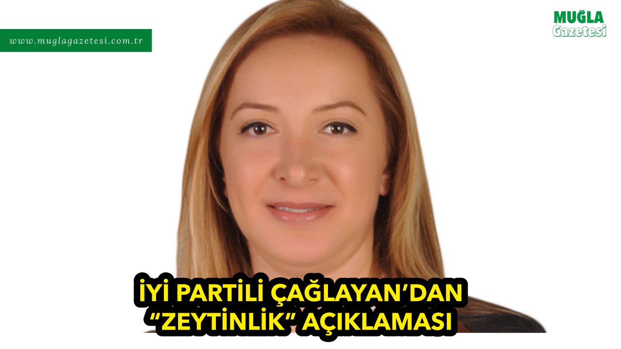 İYİ PARTİLİ ÇAĞLAYAN’DAN “ZEYTİNLİK” AÇIKLAMASI
