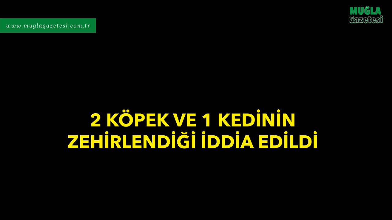 2 KÖPEK VE 1 KEDİNİN  ZEHİRLENDİĞİ İDDİA EDİLDİ