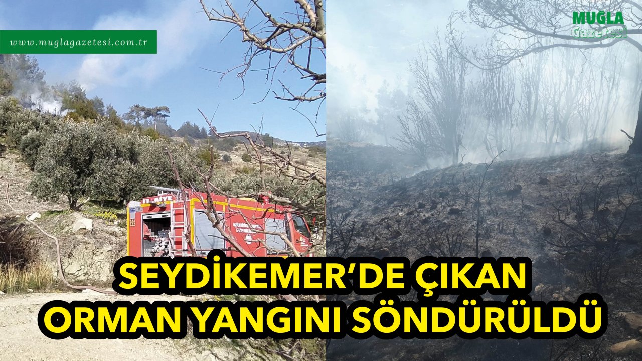 SEYDİKEMER'DE ÇIKAN ORMAN YANGINI SÖNDÜRÜLDÜ