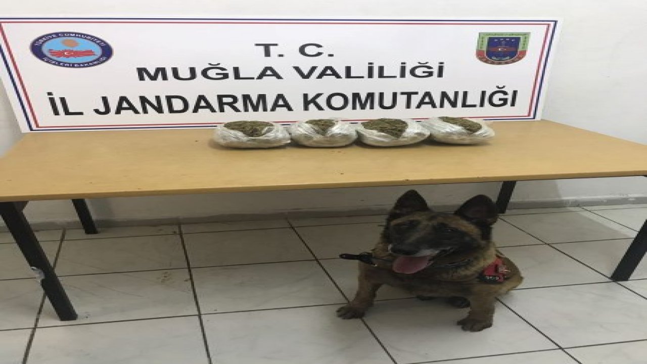 2,5 kilogram esrar ele geçirildi