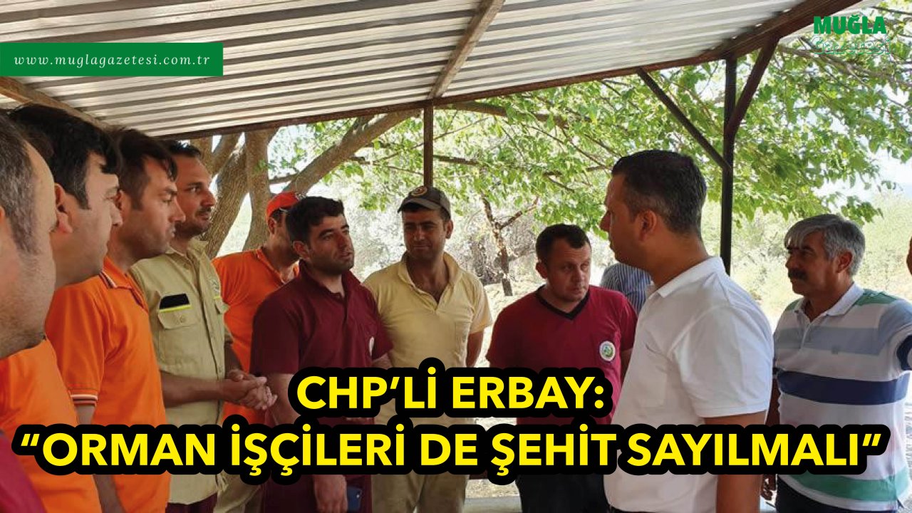 CHP’Lİ ERBAY: “ORMAN İŞÇİLERİ DE ŞEHİT SAYILMALI”