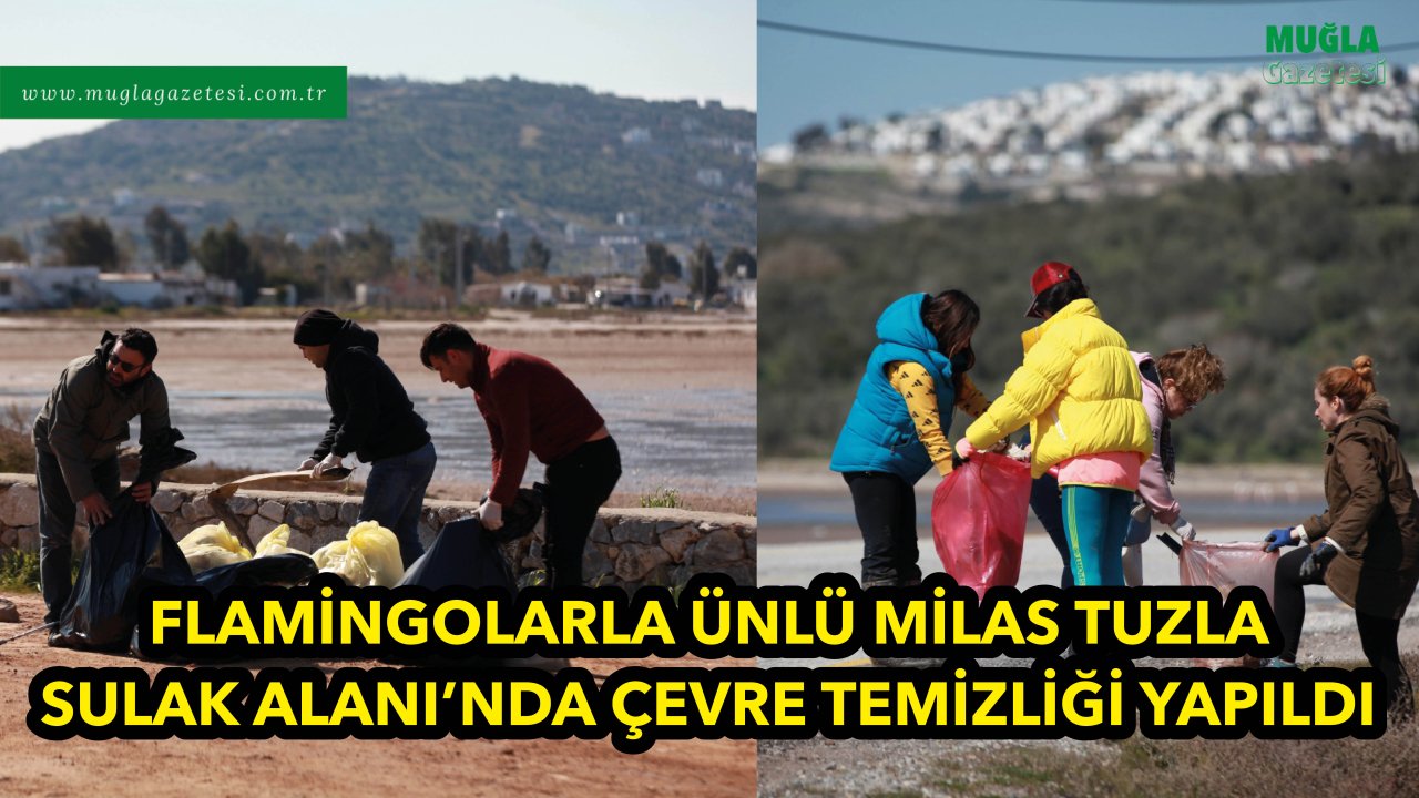 FLAMİNGOLARLA ÜNLÜ MİLAS TUZLA SULAK ALANI'NDA ÇEVRE TEMİZLİĞİ YAPILDI