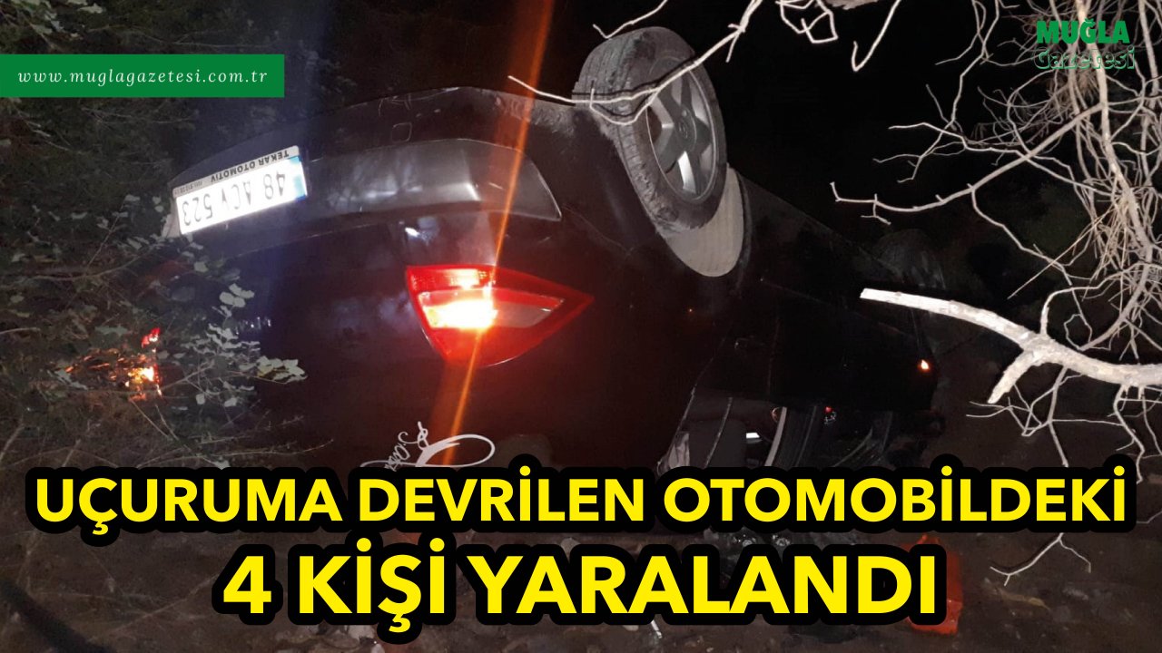 UÇURUMA DEVRİLEN OTOMOBİLDEKİ 4 KİŞİ YARALANDI