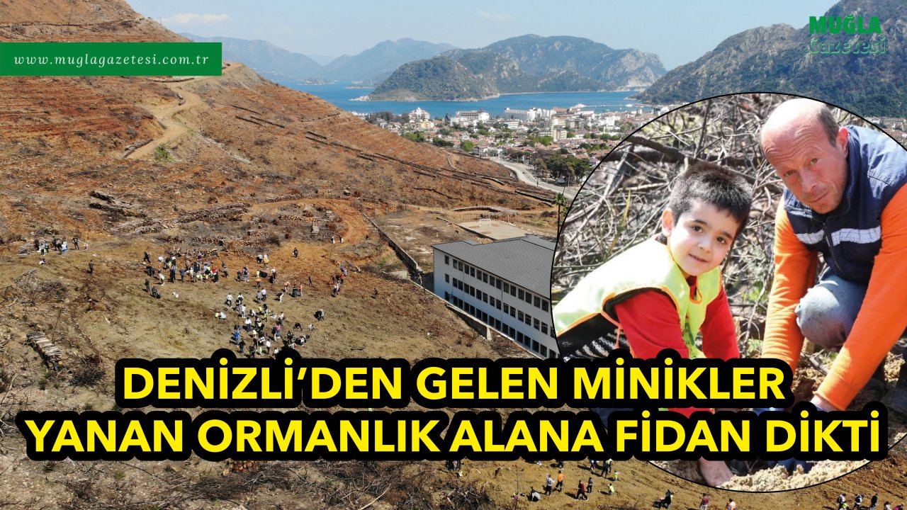 DENİZLİ'DEN GELEN MİNİKLER YANAN ORMANLIK ALANA FİDAN DİKTİ