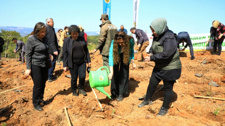 AVNİ BURAK YENİCE İÇİN HATIRA ORMANI OLUŞTURULDU