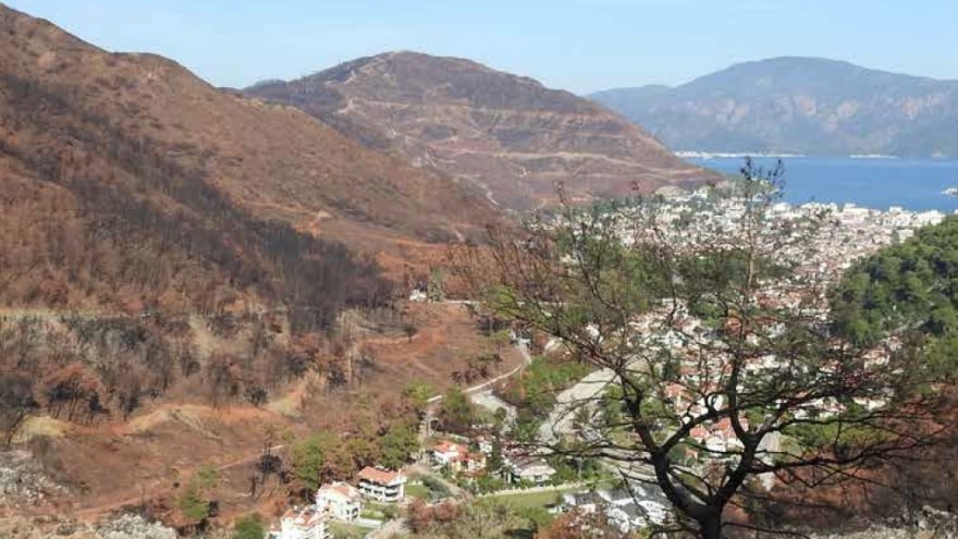 TAHRİBAT RAPORLA AÇIKLANDI | YANGIN MUĞLA’DA DERİN İZLER BIRAKTI