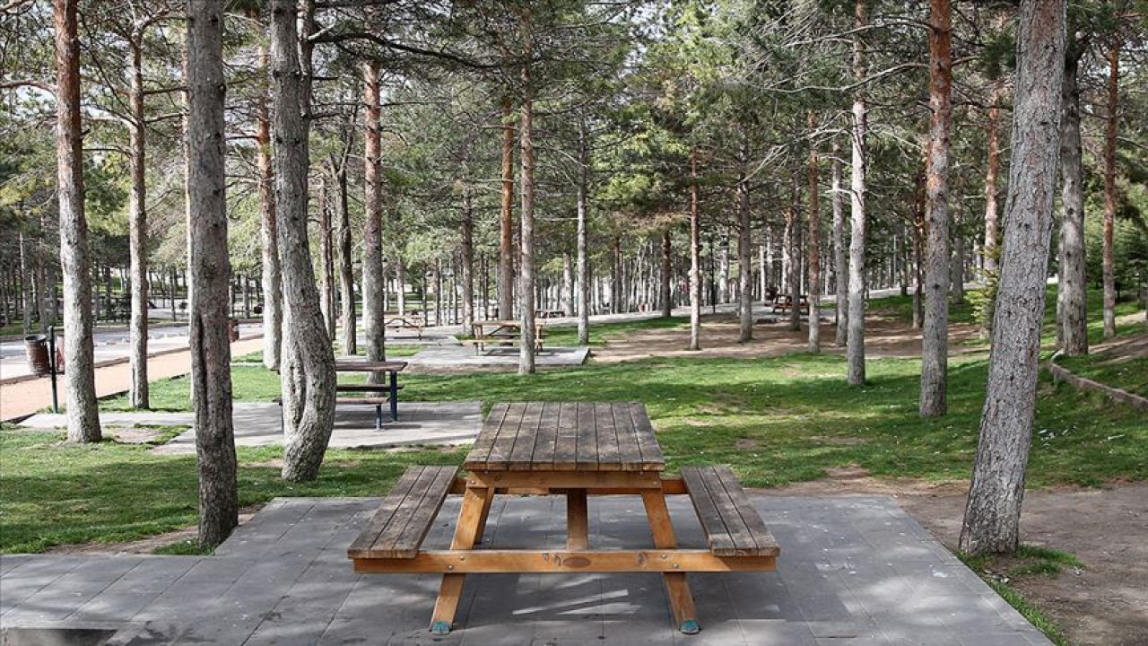 Mesire yeri işletme hakkı 20 yıllığına kiraya verilecektir