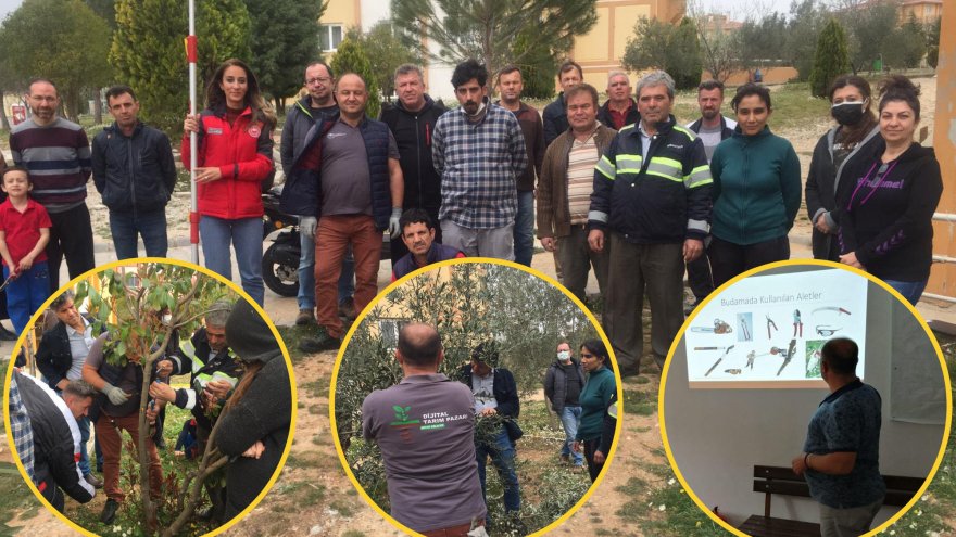 TOKİ SAKİNLERİNE BUDAMA KURSU VERİLDİ