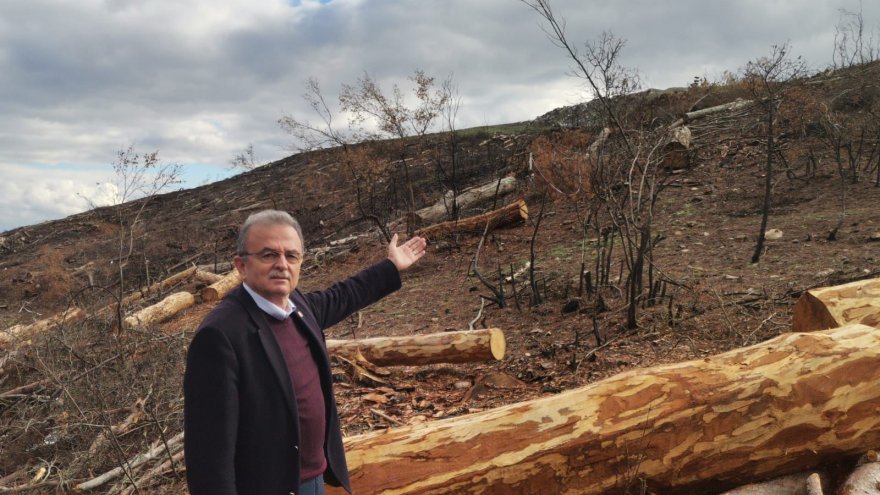 GİRGİN YANGIN SONRASI TALAN İDDİALARINI MECLİSE TAŞIDI