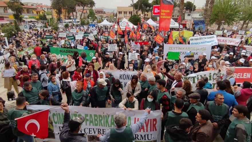 ÇEVRECİLER ZEYTİN İÇİN BİR ARAYA GELDİ