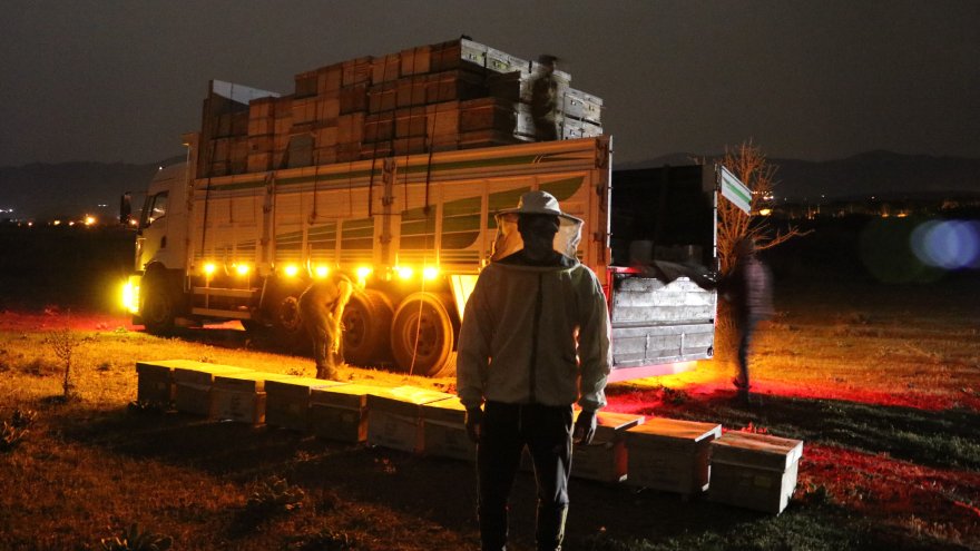 GEZGİN ARICILARIN YAYLA YOLCULUĞU BAŞLADI