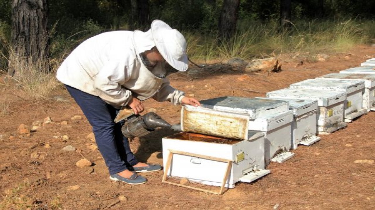 Arıcılara Büyük Hibe      