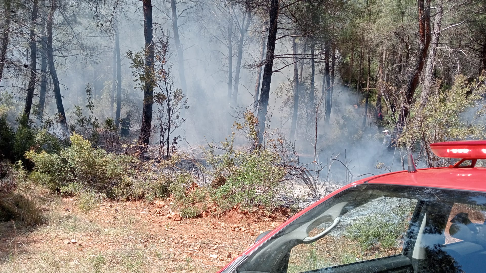 ÇIKAN ORMAN YANGINI SÖNDÜRÜLDÜ