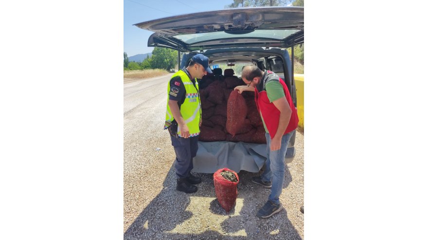 KAÇAK AVLANMIŞ 1,5 TON MİDYE ELE GEÇİRİLDİ