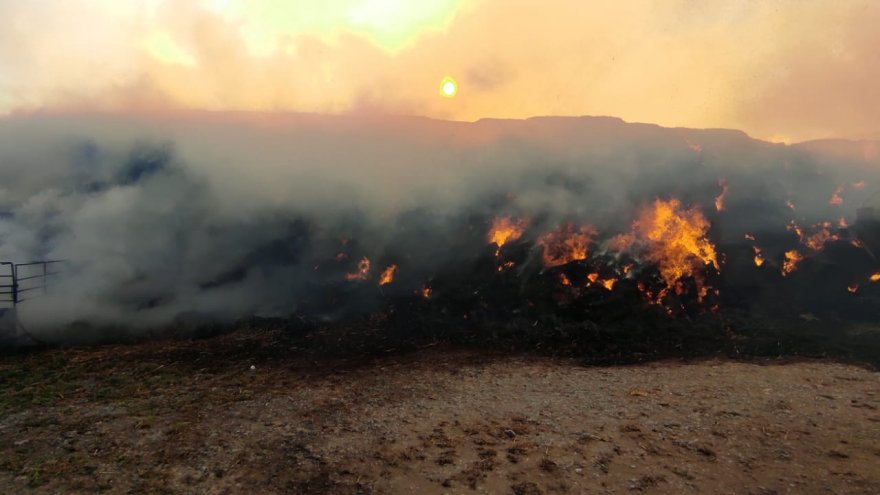 ÇIKAN YANGINDA BESİ ÇİFTLİĞİNDEKİ SAMAN BALYALARI YANDI