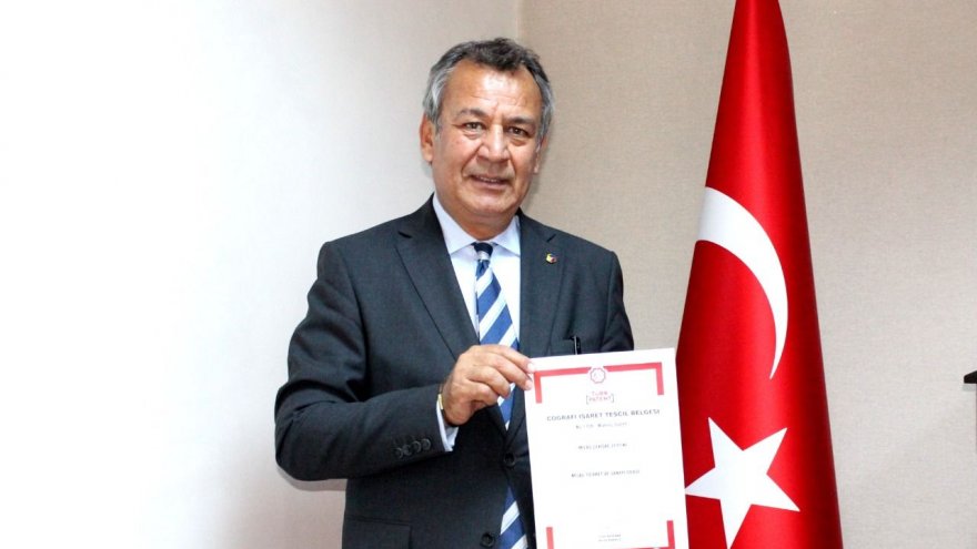 MİLAS KIRMA ZEYTİNİN DE COĞRAFİ İŞARETİ ALINDI