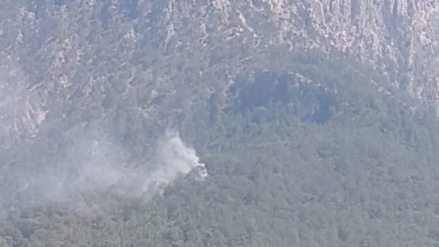 ORMAN YANGINI ÇIKTI