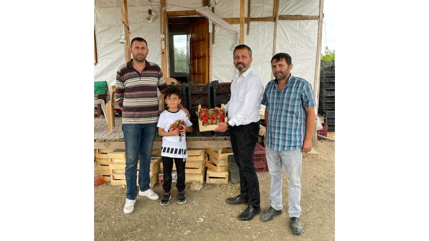 CHP’Lİ ERBAY: “KÖYCEĞİZ ÇİLEĞİNİ DÜNYA MARKASI HALİNE GETİREBİLİRİZ”