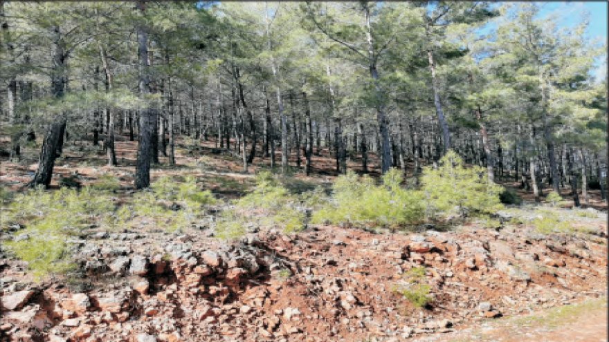 ÇAMLIBELEN’DE MERMER OCAĞI PROJESİ İÇİN “ÇED GEREKLİ DEĞİL” KARARI