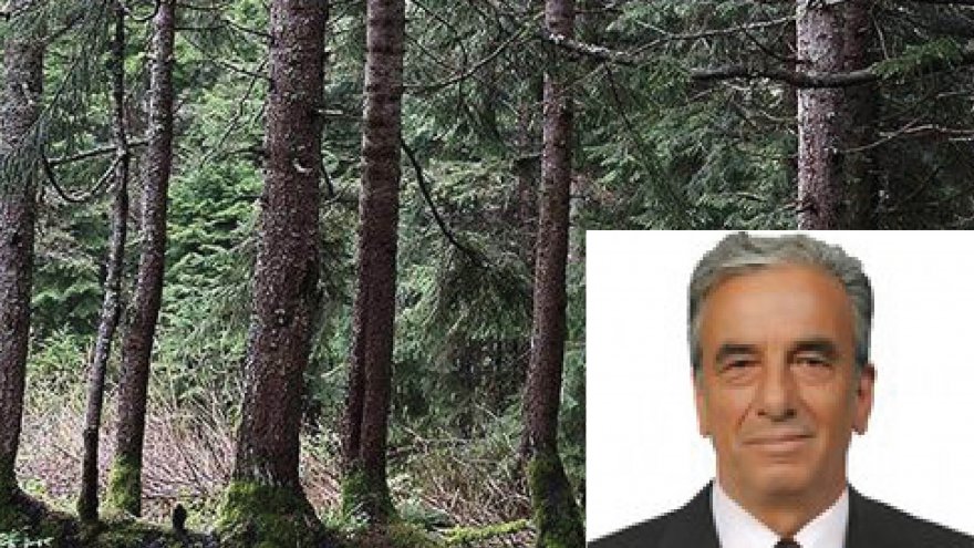 OKULDA YAKACAK İÇİN AĞAÇ KESEN MUHTARA CEZA