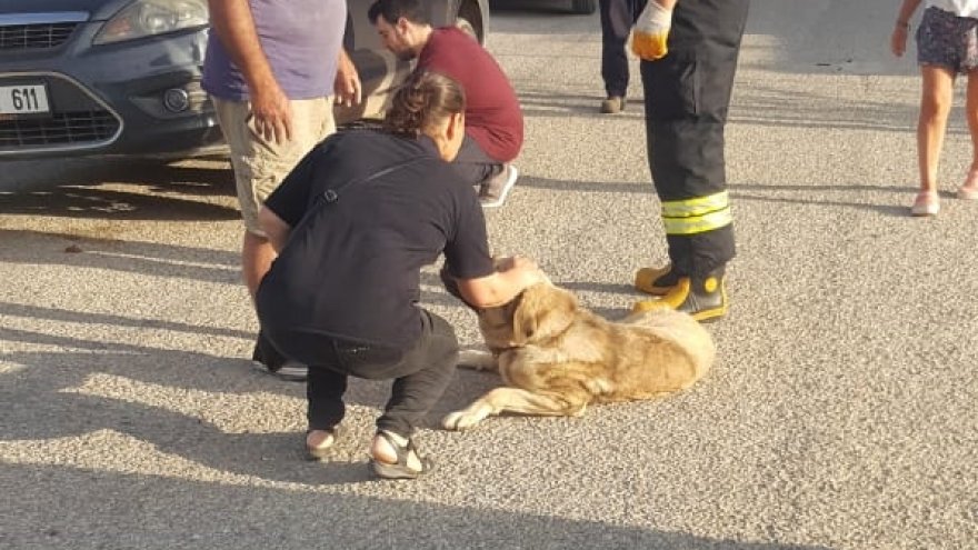 OTOMOBİLİN ALTINDA KALAN KÖPEĞİ İTFAİYE KURTARDI